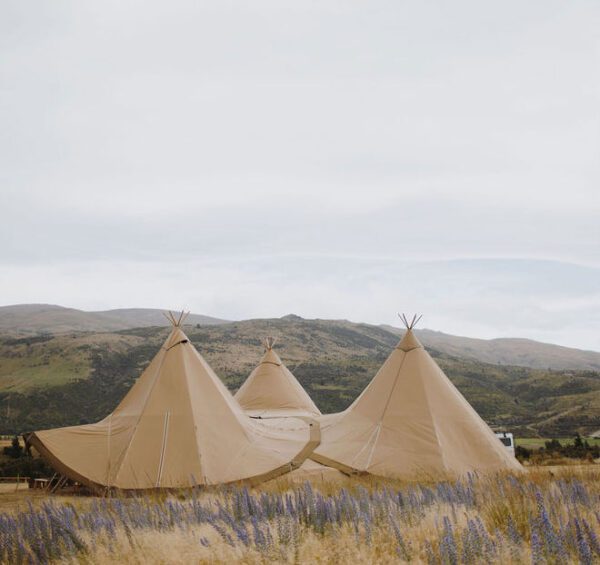 Gather and Gold tipi wedding - three gather and gold tipis in a field of lupins