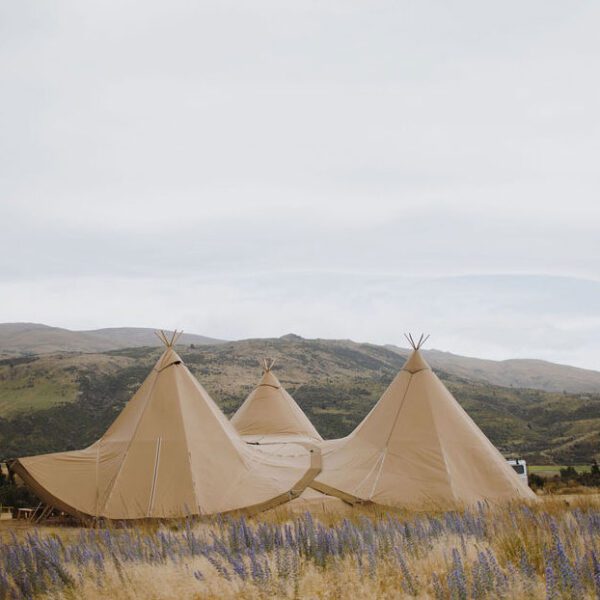 Gather and Gold tipi wedding - three gather and gold tipis in a field of lupins