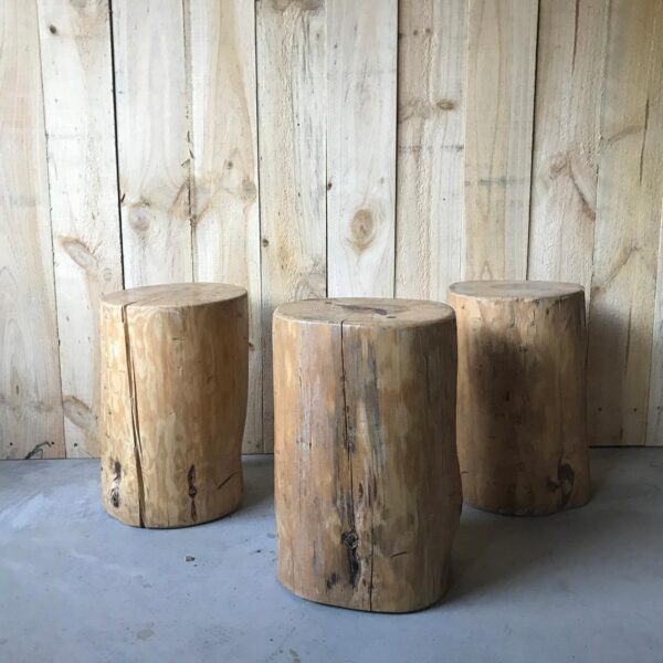 Gather and Gold hire teepee tent - pine stump stools