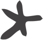 Star icon 3