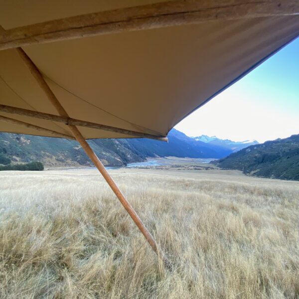 looking out from the mini hat tipi